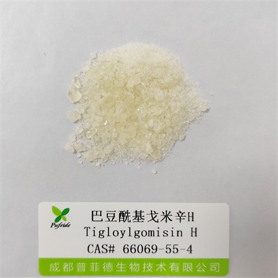 巴豆?；昝仔罤|66069-55-4
