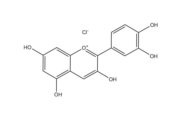氯化矢車(chē)菊素|528-58-5